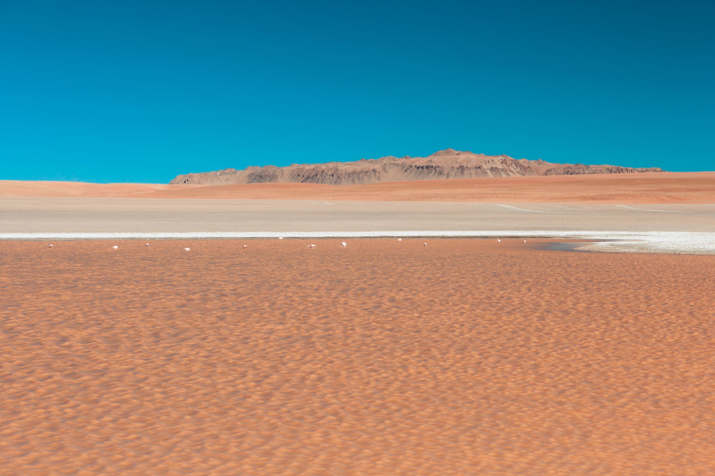 eduardo avaroa national reserve.webp